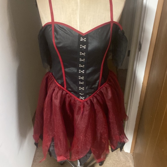 Adult Dangerous Red Riding Hood Costume, NWOT, Dress only, Size Large - Picture 4 of 4